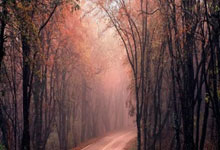 pg游戏官网：JR原创：弗拉格热席卷纽波特，家乡之星在杜克大放异彩3415置顶.