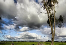 pg游戏官网：[艺术里的奥林匹克]2026米兰冬奥会吉祥物由孩子设计.