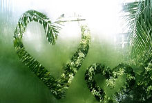 好消息，图片报：此前脚部受伤的拜仁门将乌尔比希已恢复合练.